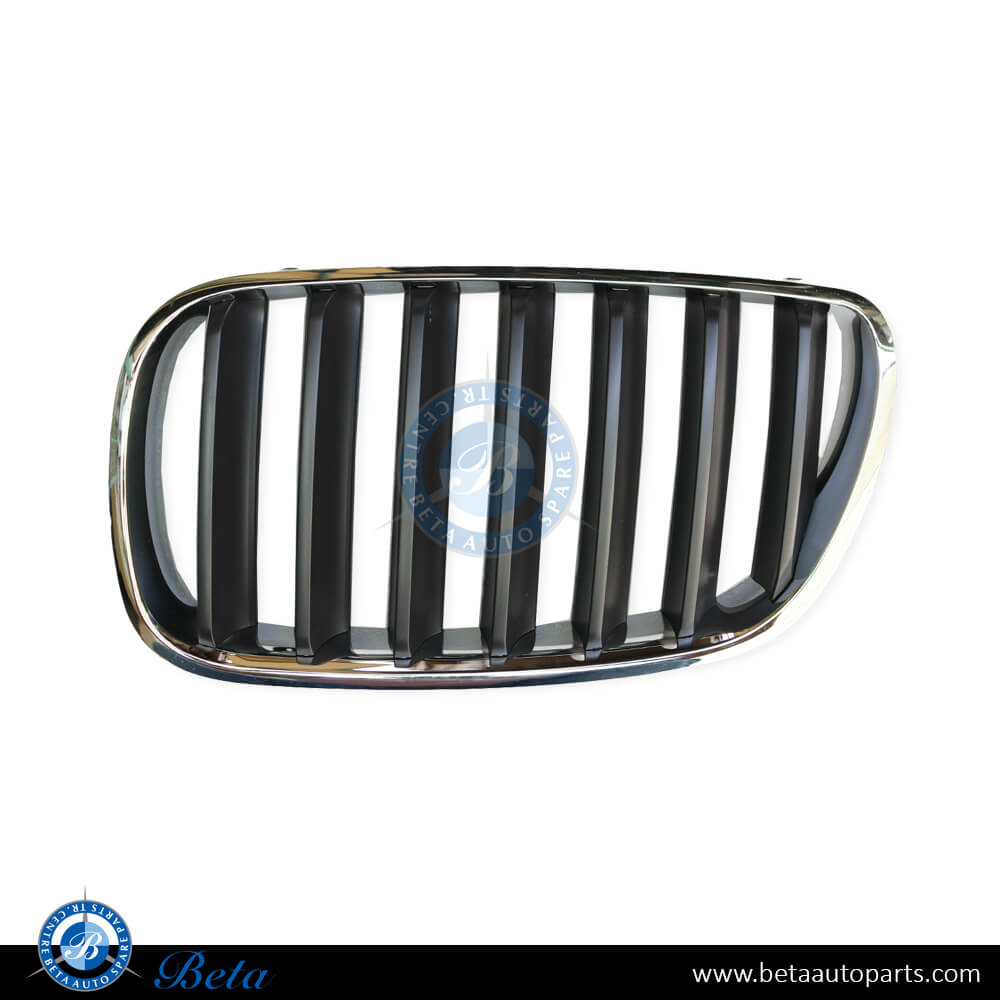 Right Side Radiator Grille Chrome Titanium for BMW X3 E83 LCI 2007-2010 models, Part Number 51113420092 Right Side Radiator Grille Chrome Titanium for BMW X3 E83 LCI 2007-2010 models, Part Number 51113420092